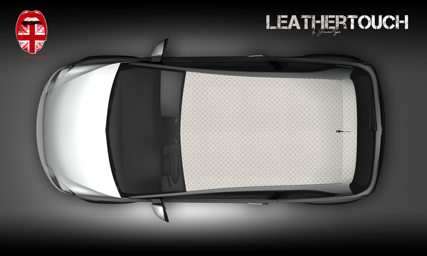 Opel Adam Dachfolierung