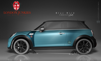 Mini Car Wrapping Design "Blue Bird"