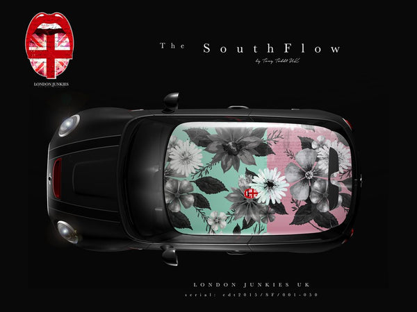The Southflow Mini Dachfolierung
